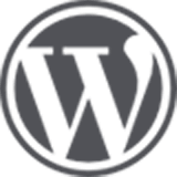 WordPress Consulting